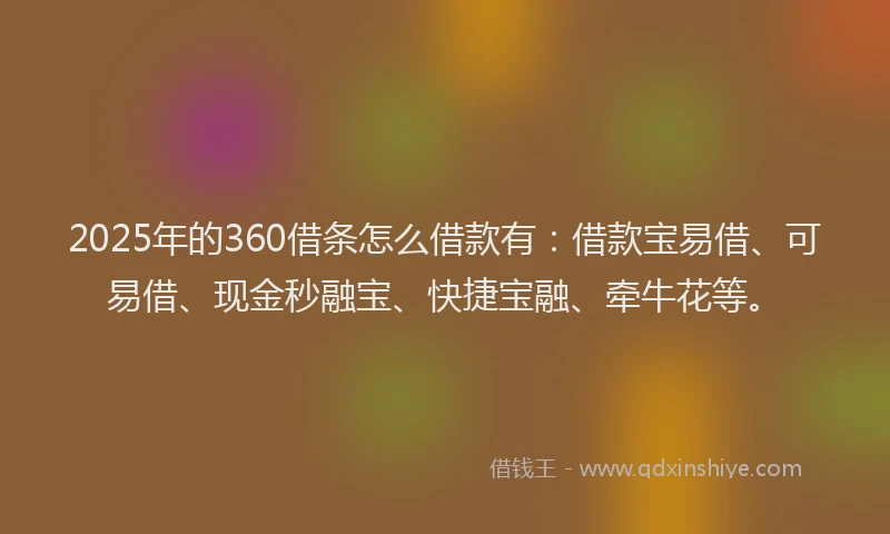2025年的360借条怎么借款有：借款宝易借、可易借、现金秒融宝、快捷宝融、牵牛花等。