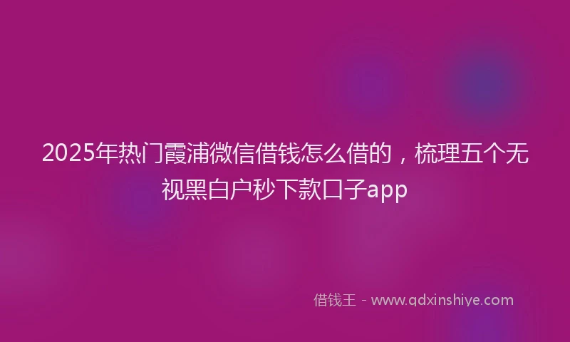 2025年热门霞浦微信借钱怎么借的，梳理五个无视黑白户秒下款口子app