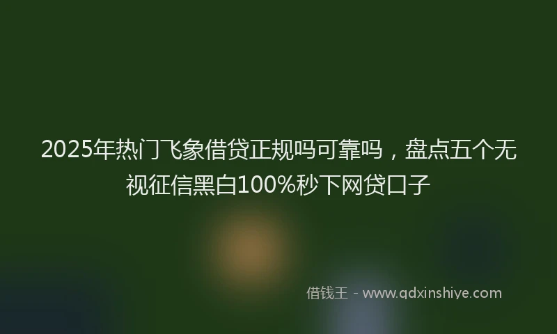 2025年热门飞象借贷正规吗可靠吗，盘点五个无视征信黑白100%秒下网贷口子
