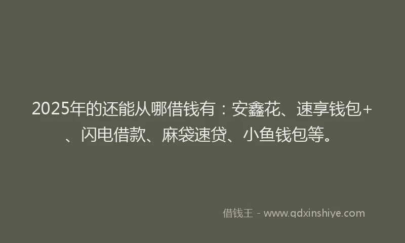 2025年的还能从哪借钱有:安鑫花、速享钱包+、闪电借款、麻袋速贷、小鱼钱包等。