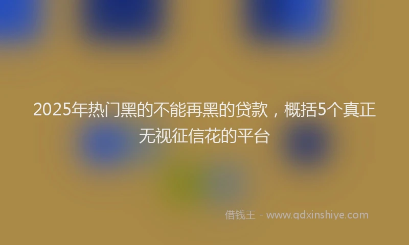 2025年热门黑的不能再黑的贷款，概括5个真正无视征信花的平台