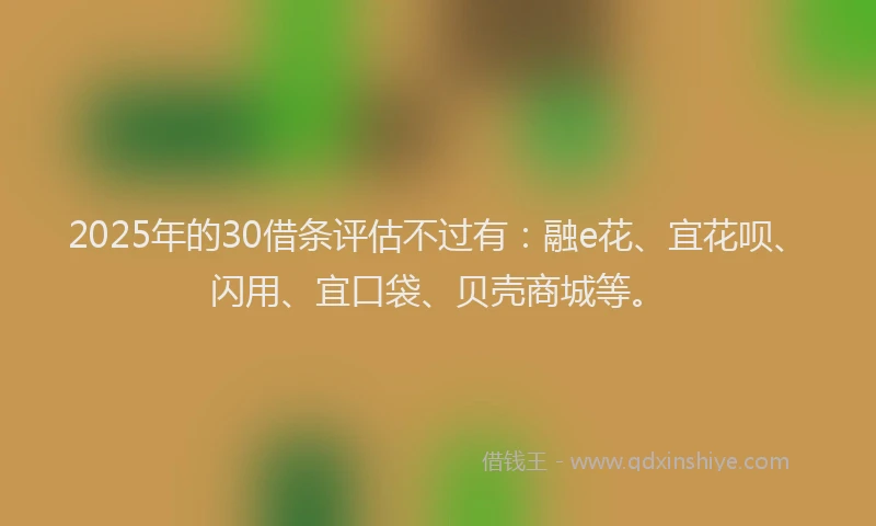 2025年的30借条评估不过有：融e花、宜花呗、闪用、宜口袋、贝壳商城等。