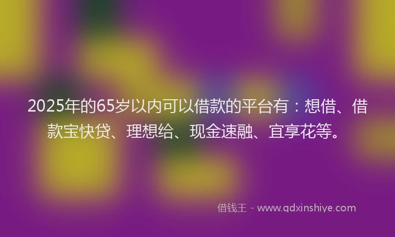 2025年的65岁以内可以借款的平台有：想借、借款宝快贷、理想给、现金速融、宜享花等。
