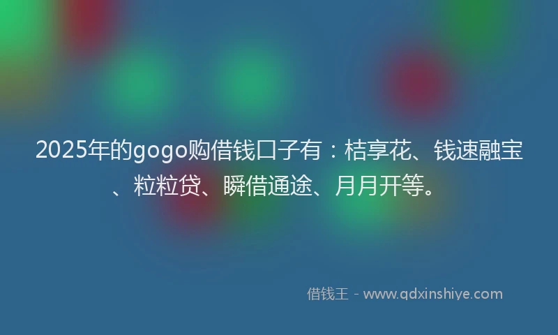 2025年的gogo购借钱口子有：桔享花、钱速融宝、粒粒贷、瞬借通途、月月开等。