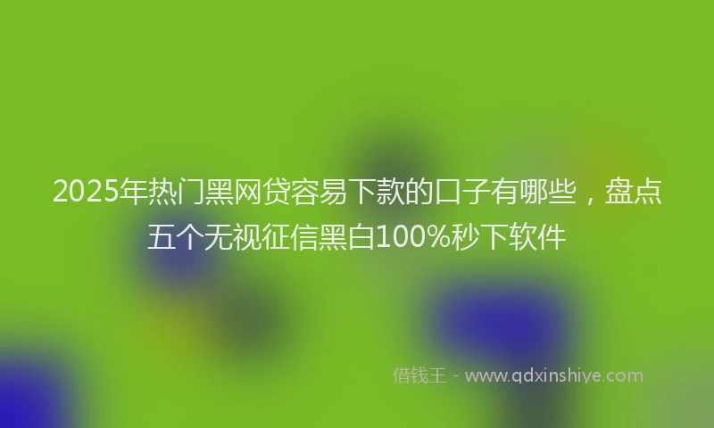2025年热门黑网贷容易下款的口子有哪些，盘点五个无视征信黑白100%秒下软件