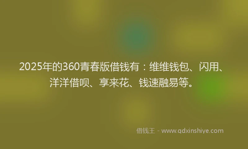2025年的360青春版借钱有：维维钱包、闪用、洋洋借呗、享来花、钱速融易等。