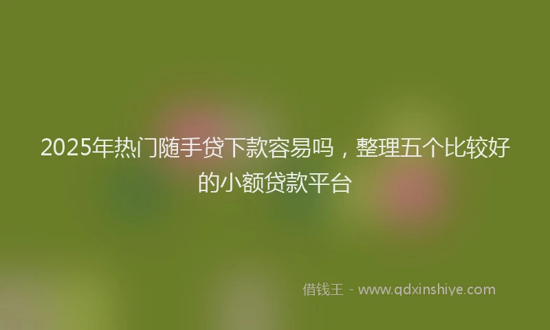 2025年热门随手贷下款容易吗,整理五个比较好的小额贷款平台