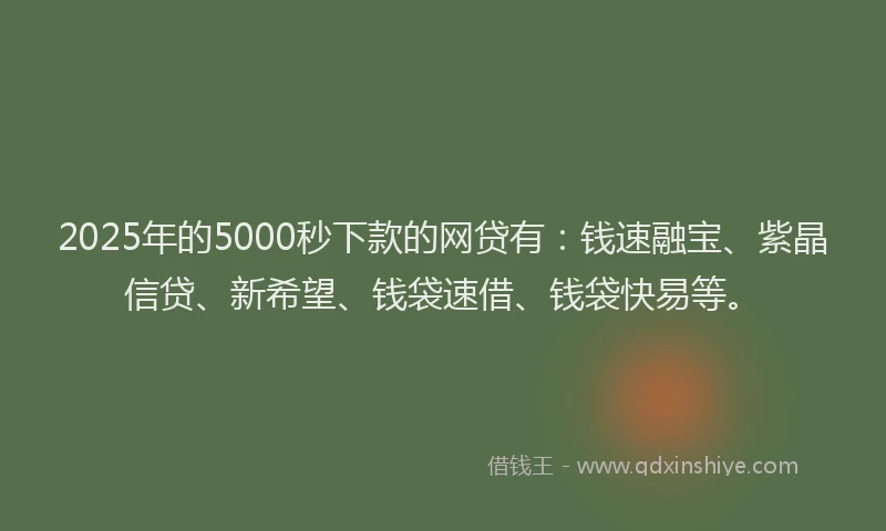 2025年的5000秒下款的网贷有：钱速融宝、紫晶信贷、新希望、钱袋速借、钱袋快易等。
