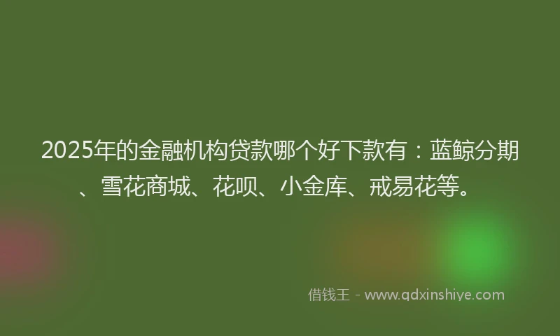 2025年的金融机构贷款哪个好下款有：蓝鲸分期、雪花商城、花呗、小金库、戒易花等。