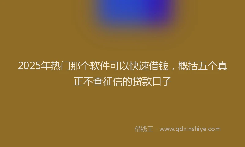 2025年热门那个软件可以快速借钱，概括五个真正不查征信的贷款口子