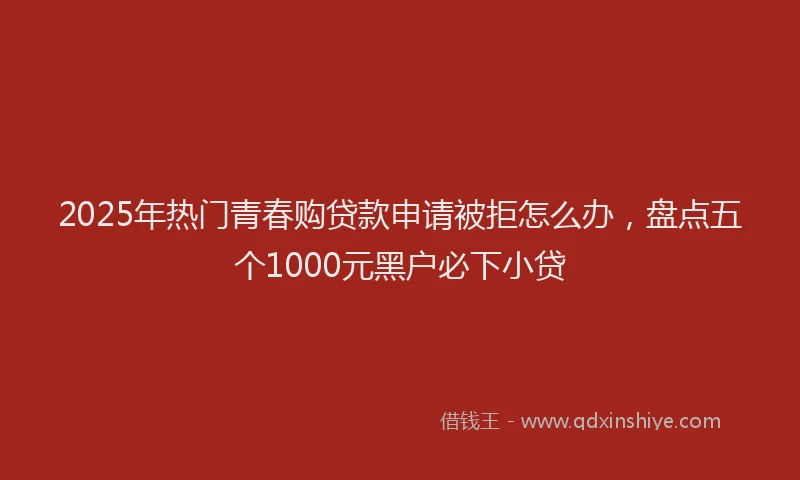 2025年热门青春购贷款申请被拒怎么办,盘点五个1000元黑户必下小贷