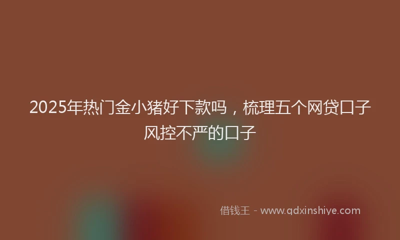 2025年热门金小猪好下款吗,梳理五个网贷口子风控不严的口子