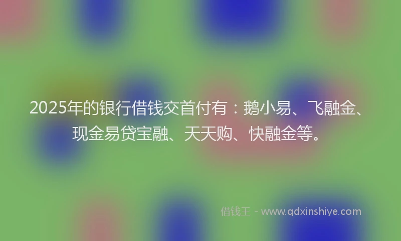 2025年的银行借钱交首付有：鹅小易、飞融金、现金易贷宝融、天天购、快融金等。