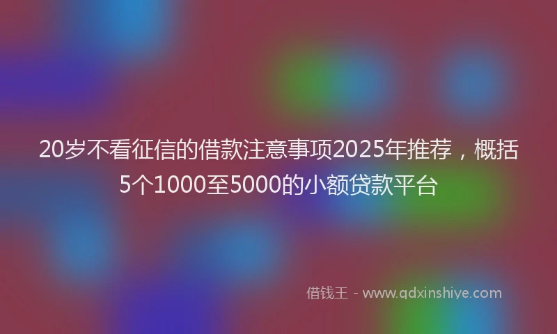 20岁不看征信的借款注意事项2025年推荐，概括5个1000至5000的小额贷款平台