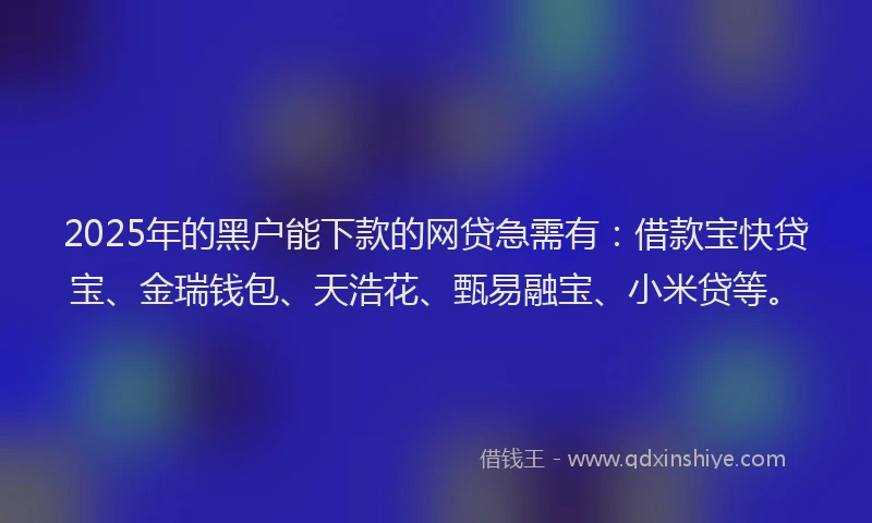 2025年的黑户能下款的网贷急需有：借款宝快贷宝、金瑞钱包、天浩花、甄易融宝、小米贷等。