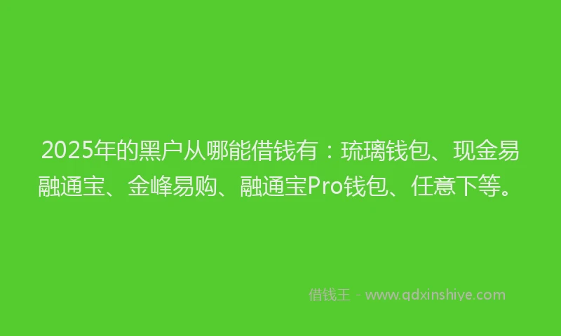 2025年的黑户从哪能借钱有：琉璃钱包、现金易融通宝、金峰易购、融通宝Pro钱包、任意下等。