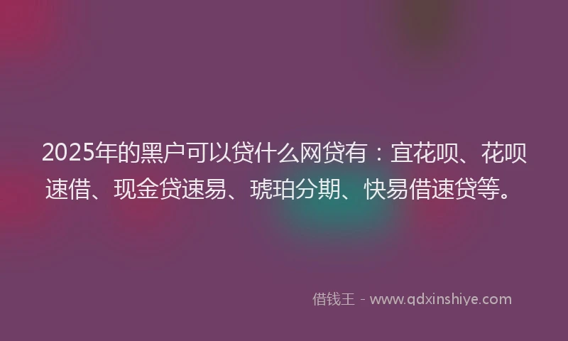 2025年的黑户可以贷什么网贷有：宜花呗、花呗速借、现金贷速易、琥珀分期、快易借速贷等。