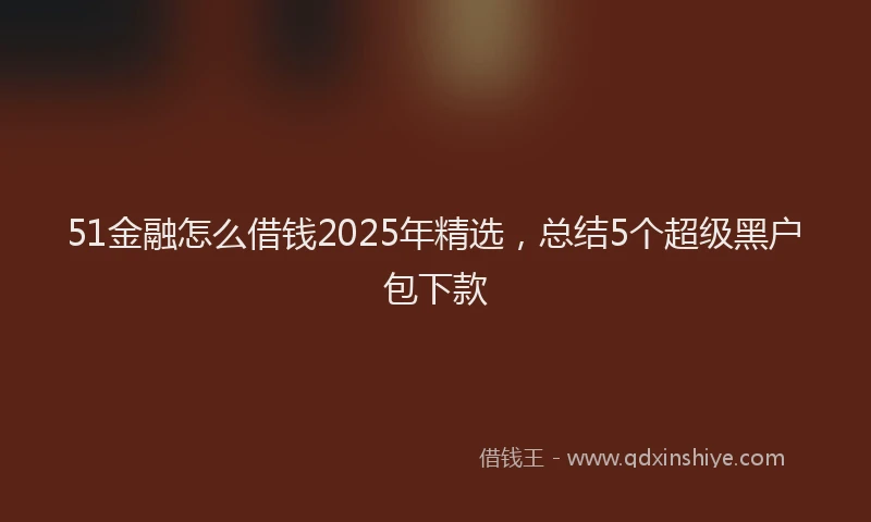 51金融怎么借钱2025年精选，总结5个超级黑户包下款