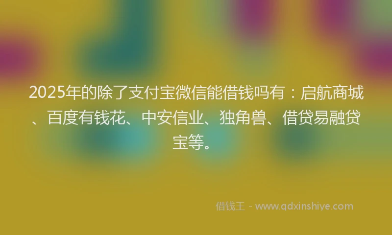 2025年的除了支付宝微信能借钱吗有：启航商城、百度有钱花、中安信业、独角兽、借贷易融贷宝等。