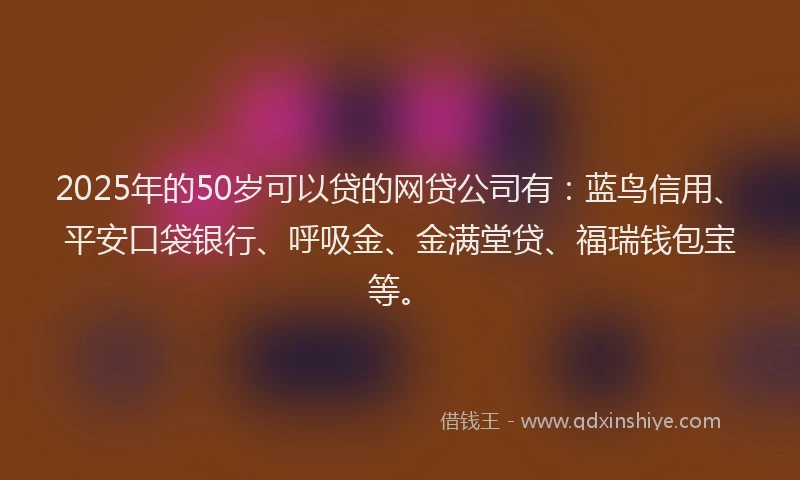 2025年的50岁可以贷的网贷公司有：蓝鸟信用、平安口袋银行、呼吸金、金满堂贷、福瑞钱包宝等。