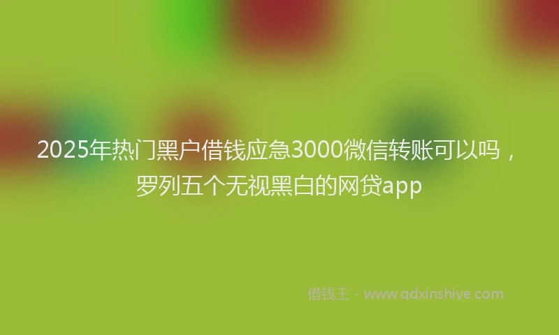 2025年热门黑户借钱应急3000微信转账可以吗，罗列五个无视黑白的网贷app