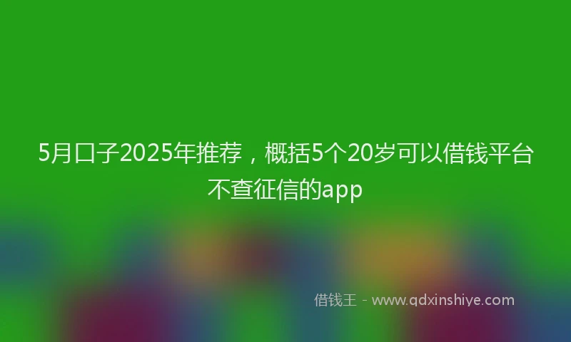 5月口子2025年推荐，概括5个20岁可以借钱平台不查征信的app