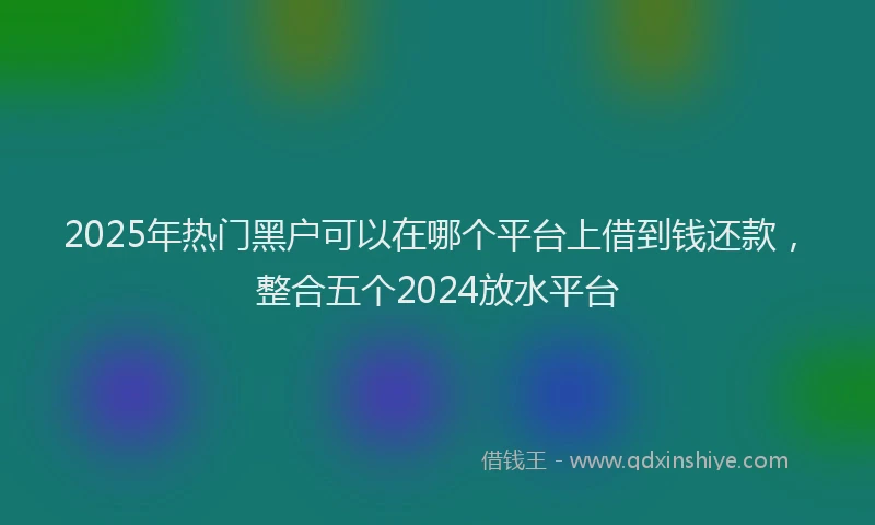 2025年热门黑户可以在哪个平台上借到钱还款，整合五个2024放水平台