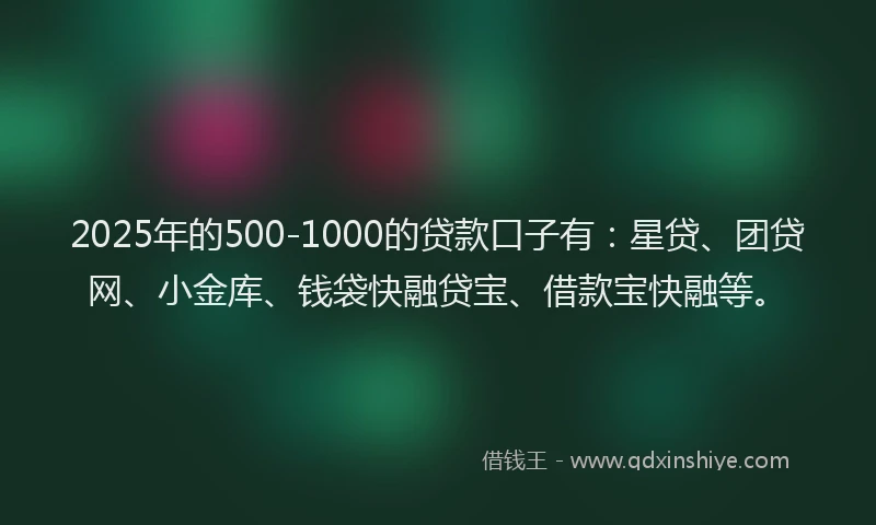 2025年的500-1000的贷款口子有：星贷、团贷网、小金库、钱袋快融贷宝、借款宝快融等。