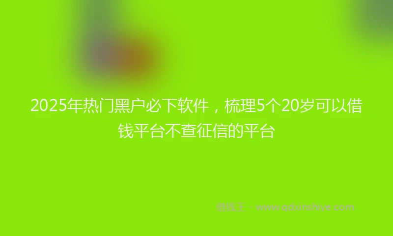 2025年热门黑户必下软件，梳理5个20岁可以借钱平台不查征信的平台