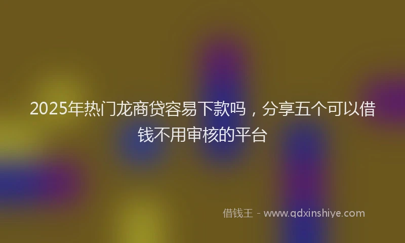 2025年热门龙商贷容易下款吗，分享五个可以借钱不用审核的平台