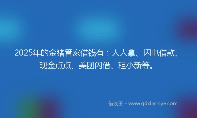 2025年的金猪管家借钱有：人人拿、闪电借款、现金点点、美团闪借、租小新等。