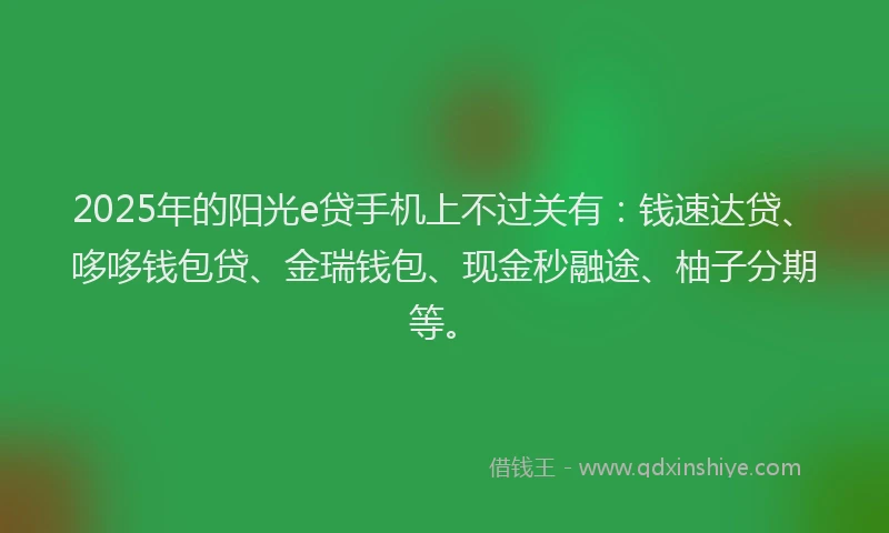 2025年的阳光e贷手机上不过关有:钱速达贷、哆哆钱包贷、金瑞钱包、现金秒融途、柚子分期等。