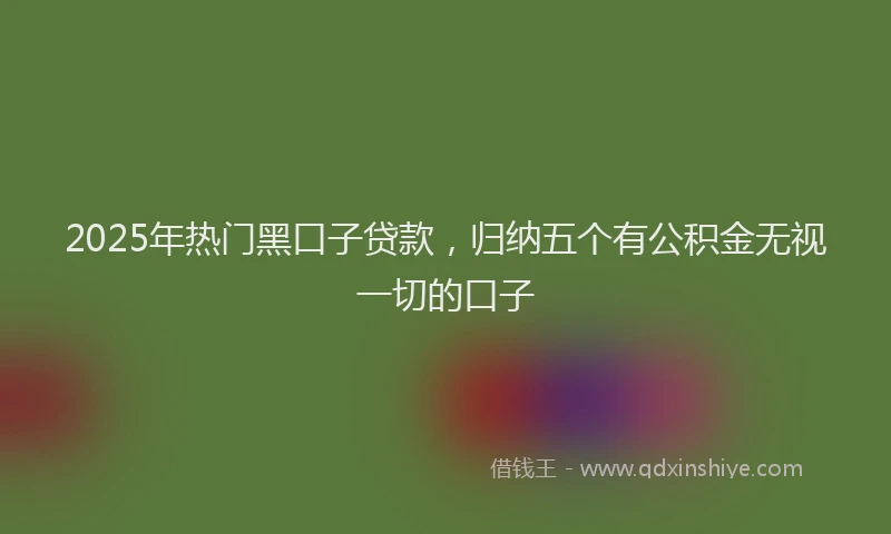 2025年热门黑口子贷款，归纳五个有公积金无视一切的口子