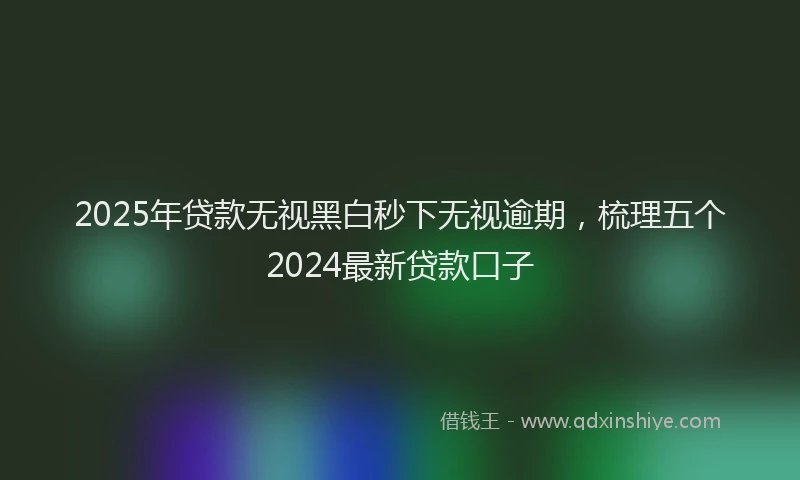 2025年贷款无视黑白秒下无视逾期，梳理五个2024最新贷款口子