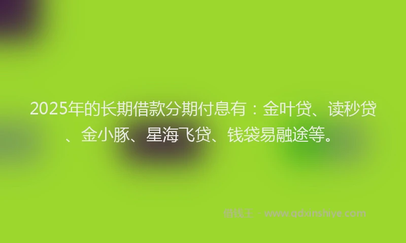 2025年的长期借款分期付息有：金叶贷、读秒贷、金小豚、星海飞贷、钱袋易融途等。