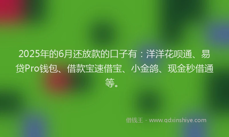 2025年的6月还放款的口子有：洋洋花呗通、易贷Pro钱包、借款宝速借宝、小金鸽、现金秒借通等。