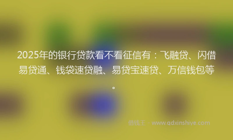 2025年的银行贷款看不看征信有：飞融贷、闪借易贷通、钱袋速贷融、易贷宝速贷、万信钱包等。