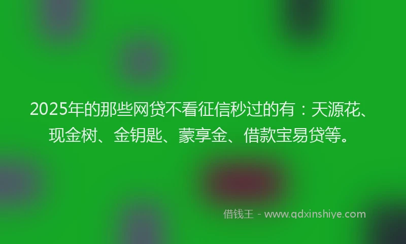 2025年的那些网贷不看征信秒过的有：天源花、现金树、金钥匙、蒙享金、借款宝易贷等。