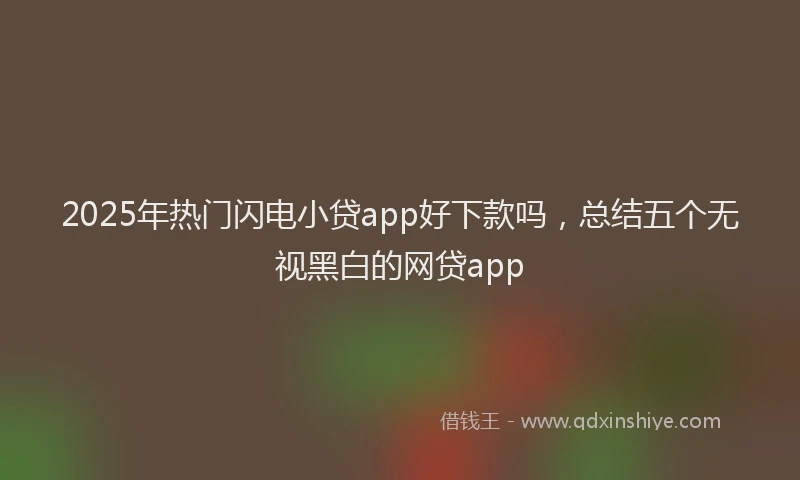 2025年热门闪电小贷app好下款吗，总结五个无视黑白的网贷app
