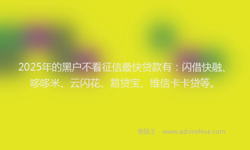 2025年的黑户不看征信最快贷款有：闪借快融、哆哆米、云闪花、易贷宝、维信卡卡贷等。
