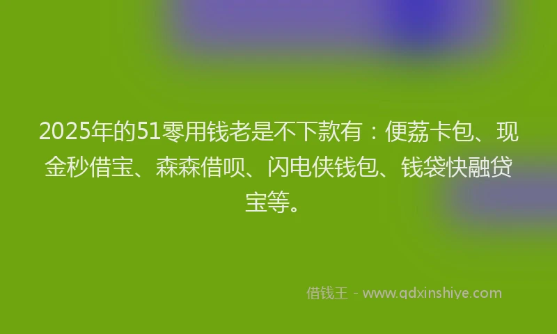 2025年的51零用钱老是不下款有：便荔卡包、现金秒借宝、森森借呗、闪电侠钱包、钱袋快融贷宝等。