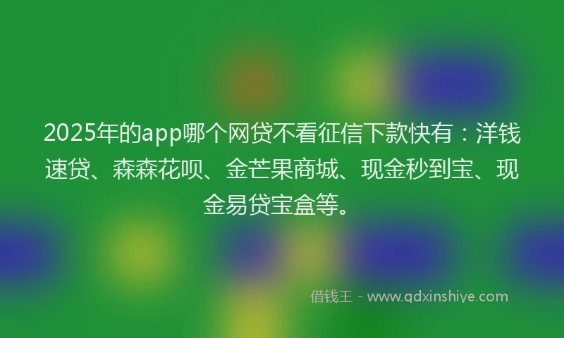 2025年的app哪个网贷不看征信下款快有：洋钱速贷、森森花呗、金芒果商城、现金秒到宝、现金易贷宝盒等。