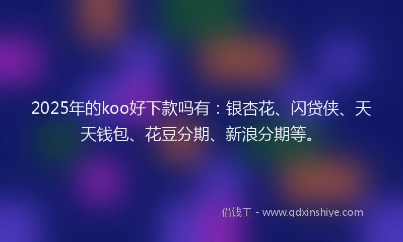 2025年的koo好下款吗有：银杏花、闪贷侠、天天钱包、花豆分期、新浪分期等。