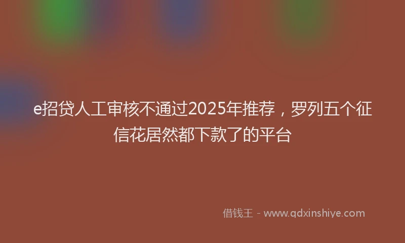 e招贷人工审核不通过2025年推荐，罗列五个征信花居然都下款了的平台
