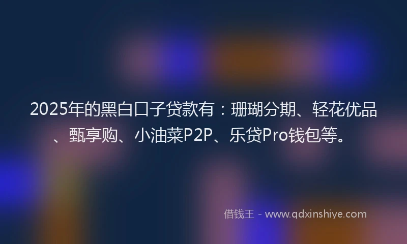 2025年的黑白口子贷款有：珊瑚分期、轻花优品、甄享购、小油菜P2P、乐贷Pro钱包等。