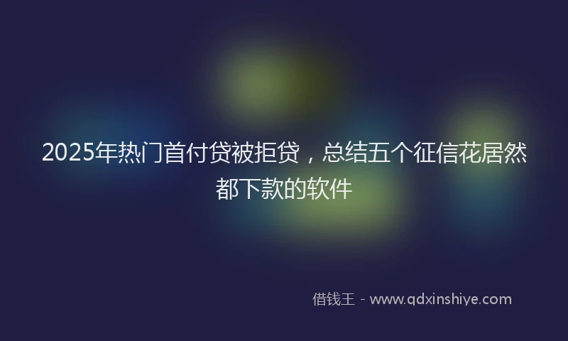 2025年热门首付贷被拒贷，总结五个征信花居然都下款的软件