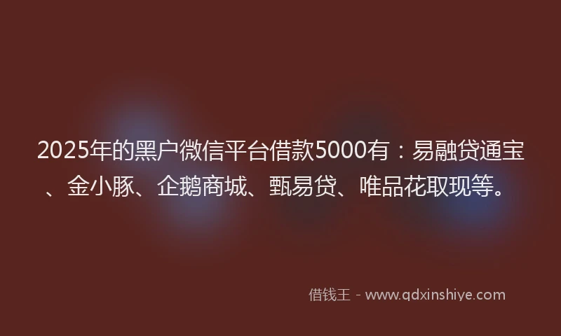 2025年的黑户微信平台借款5000有：易融贷通宝、金小豚、企鹅商城、甄易贷、唯品花取现等。