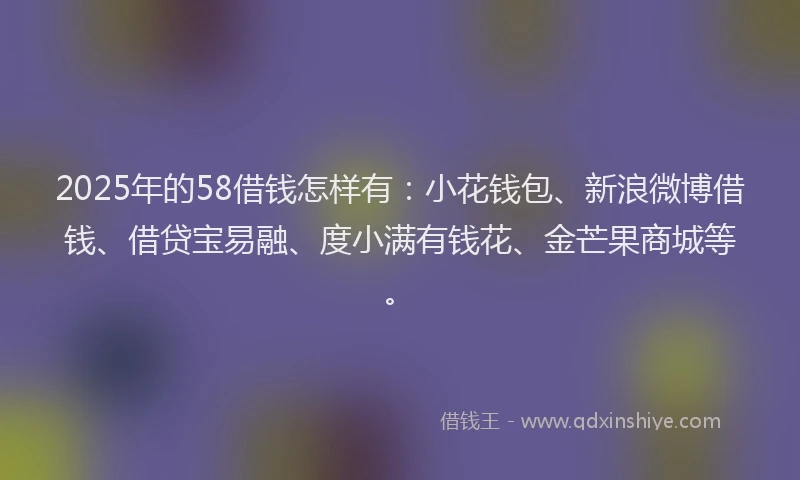 2025年的58借钱怎样有：小花钱包、新浪微博借钱、借贷宝易融、度小满有钱花、金芒果商城等。