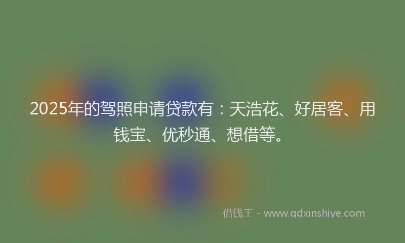2025年的驾照申请贷款有：天浩花、好居客、用钱宝、优秒通、想借等。