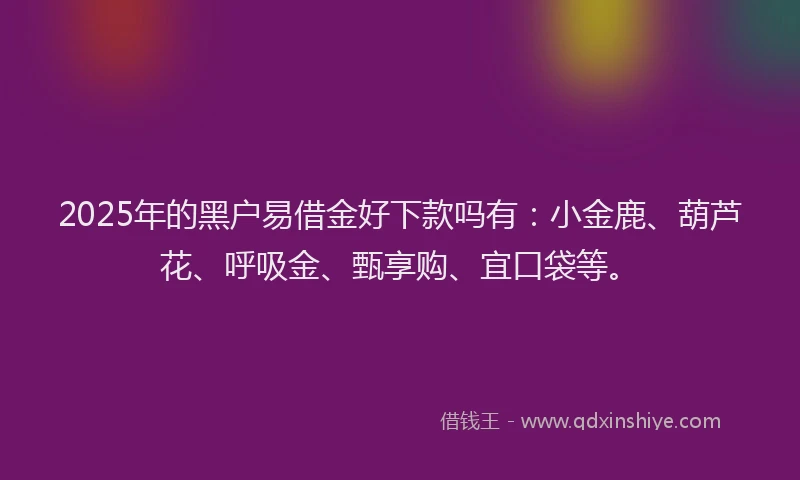 2025年的黑户易借金好下款吗有：小金鹿、葫芦花、呼吸金、甄享购、宜口袋等。